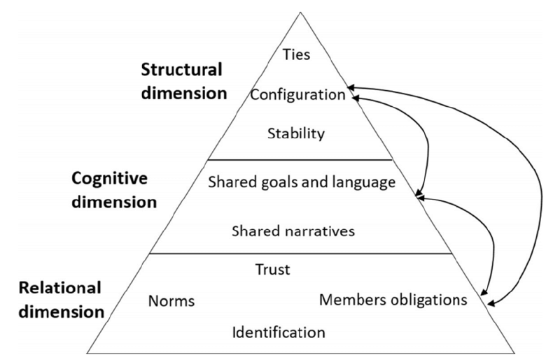 Figure 1: The Social Capital Perspective of the Entrepreneurial Ecosystem