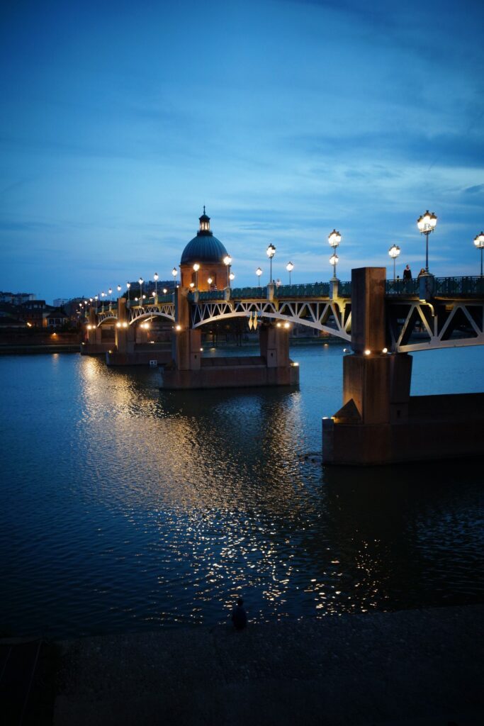 View of the city of Toulouse by night