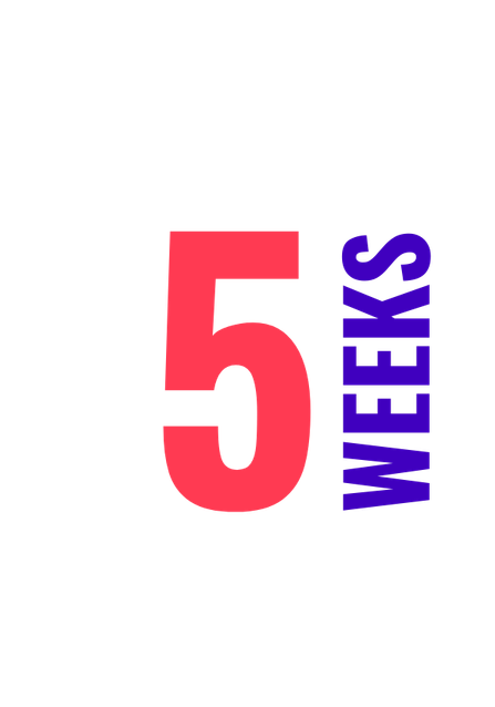 bannière web summer school 2026 (3)