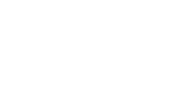 Logo Anedd Blc